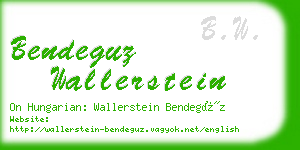 bendeguz wallerstein business card